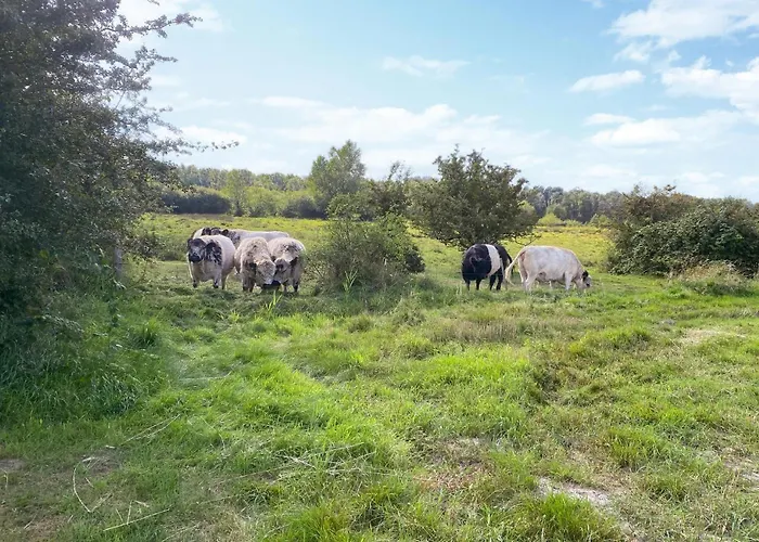 Amazing In With Sauna